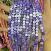 Viola chiaro