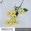 Fleur de pivoine papillon BD jaune