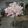 specification 11