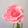 สีชมพู