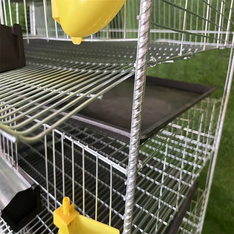 Poultry Quail Layer Cages for Quail Birds Farming Cage for Quail Hens for Egg Production