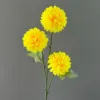 3-headed chrysanthemum