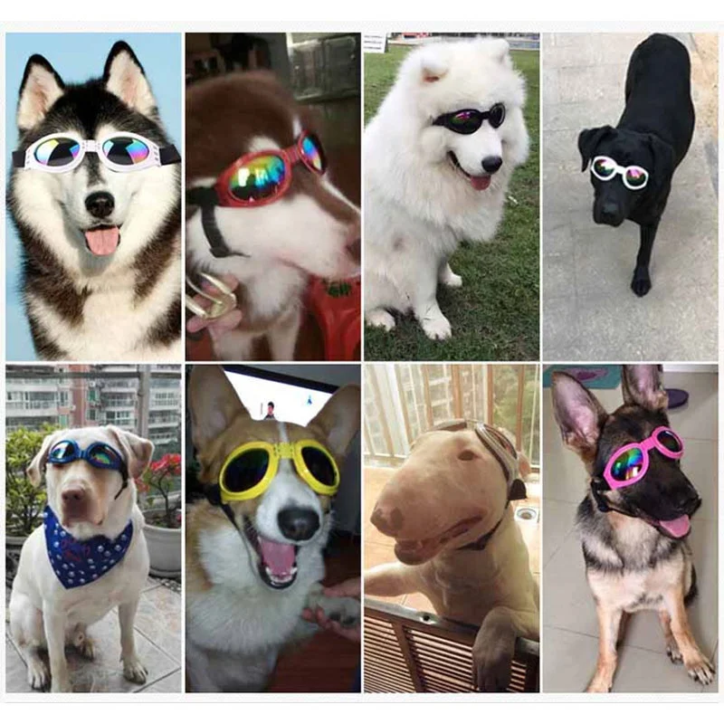 Fashion Pet Dog Glasses Prevent UV Pet Glasses for Cats Dog Sunglasses Reflection Eye Wear Dog Gifts Outdoor Pet Accessories - Image 6