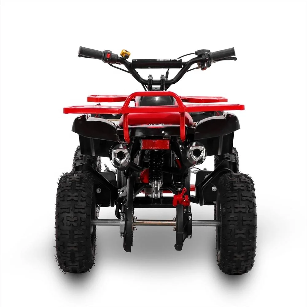 49cc Zipper Quad Bike Tao Motor 50cc Mini Moto Quad Bike Fun Off