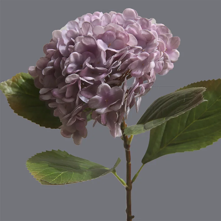 Flor De Simulación De D-hy004 Para Decoración De Boda,Real Simple Hortensia  De Tacto,Elegante,Clásico,Negro Y Rosa,Para Otoño - Buy Hortensias Flores  Artificiales De La Boda,A Granel Seda Hortensias,Toque Real Hortensia  Product on 