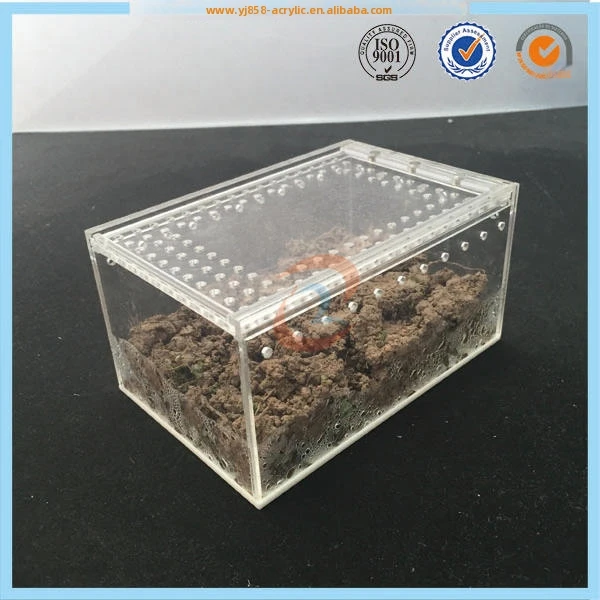 空気穴付き爬虫類用アクリルスライディングリッドボックススパイダー