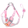 1Harness+1 leash