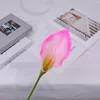 Subdesarrollo de la cabeza floral de la rama y el tallo No. 3