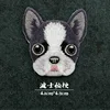 6# TERRIER