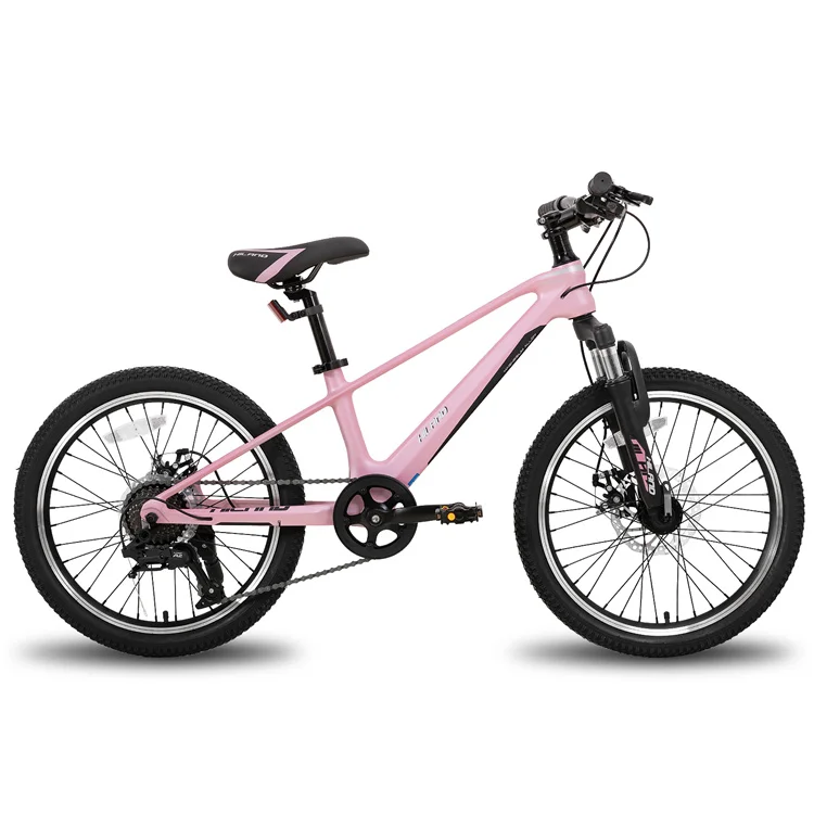 ジョイキー・ハイランド 20インチ サイクル ブルーブラックピンク MTB 