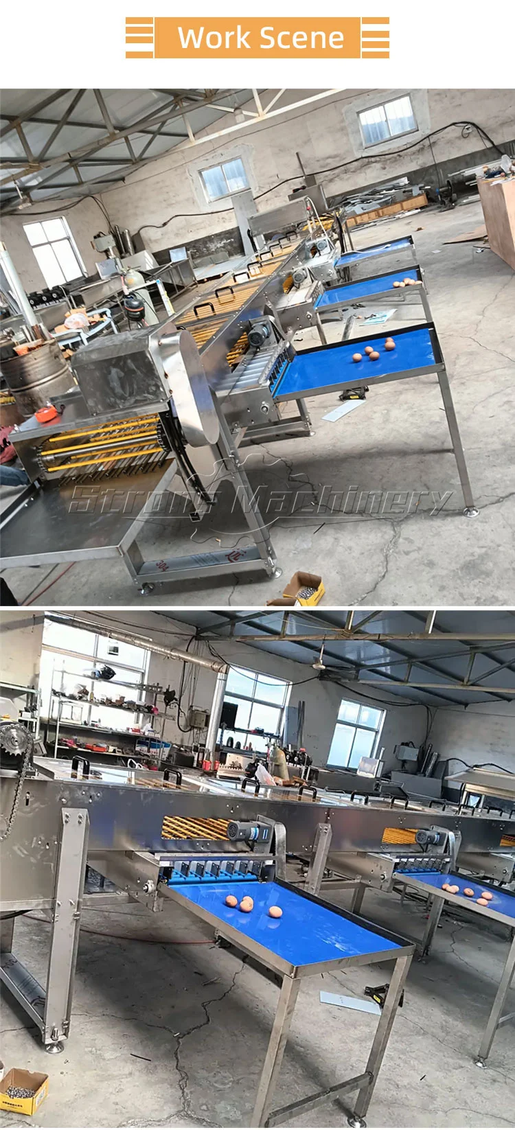 Egg Weight Grading Sorter Egg Grading and Candling Machine| Alibaba.com