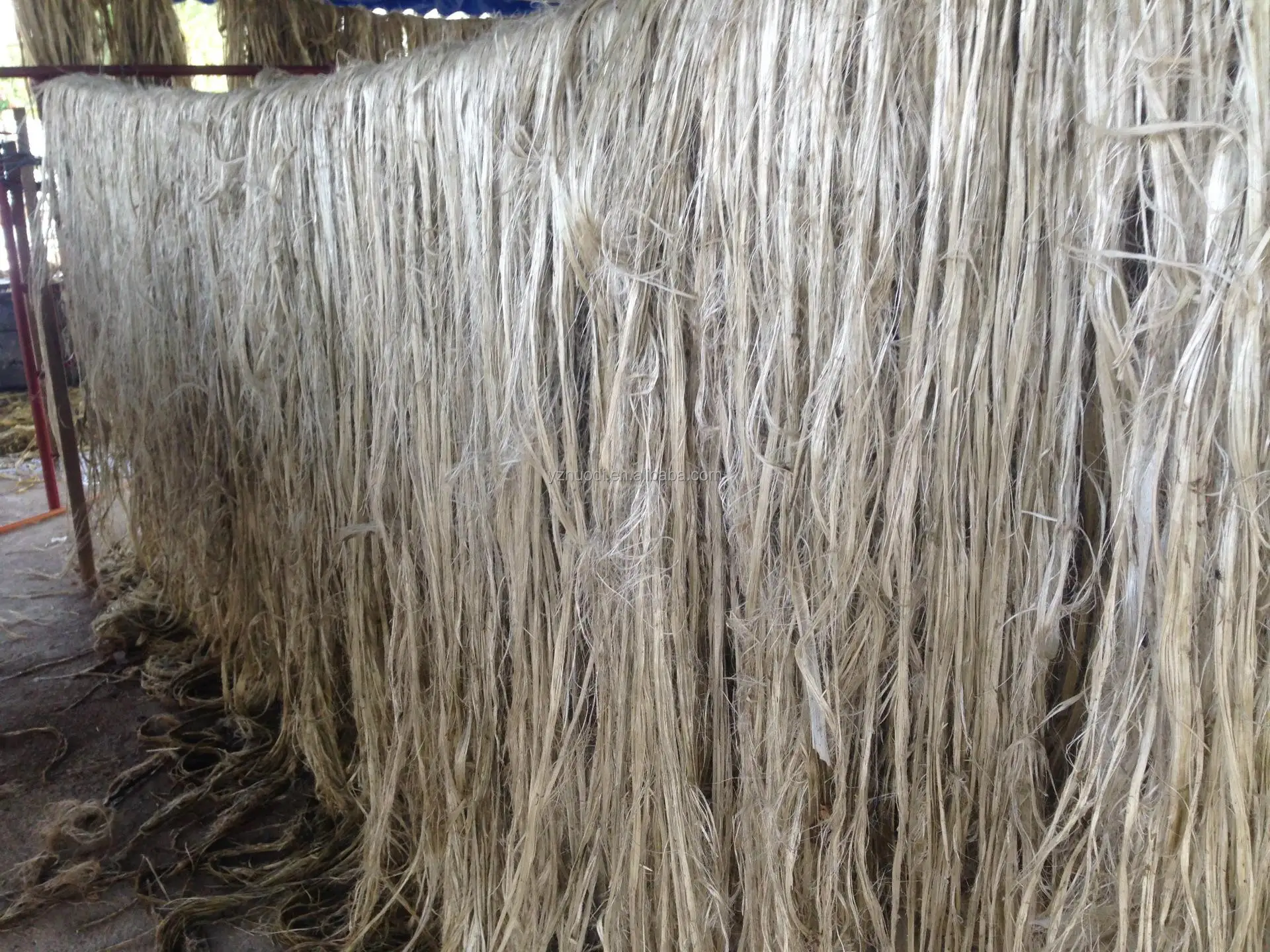Philippines Abaca Fiber Decorticator Ramie Sisal Fiber Extractor
