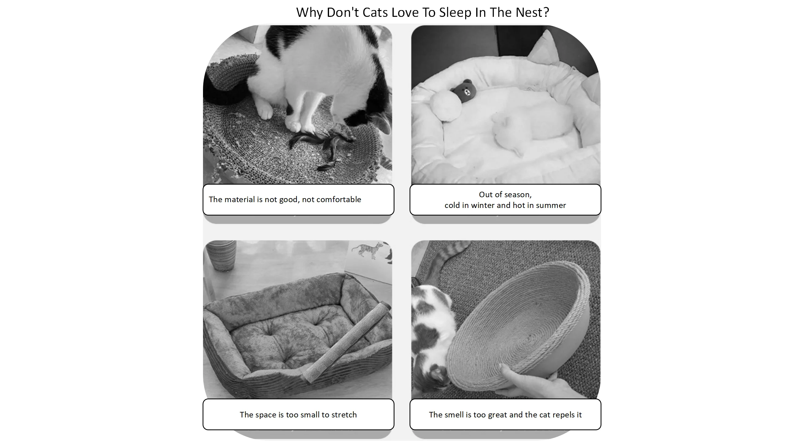 New Round Capsule cat Nest 360° No Dead Angle Bilateral Space Capsule cat Nest Portable Portable cat Nest Grasp Board cat Bed factory