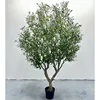 7#(Artificial olive tree deposit)