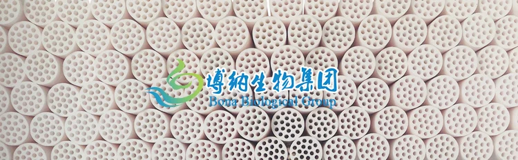 Ceramic membrane.jpg