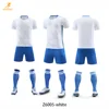 White+blue