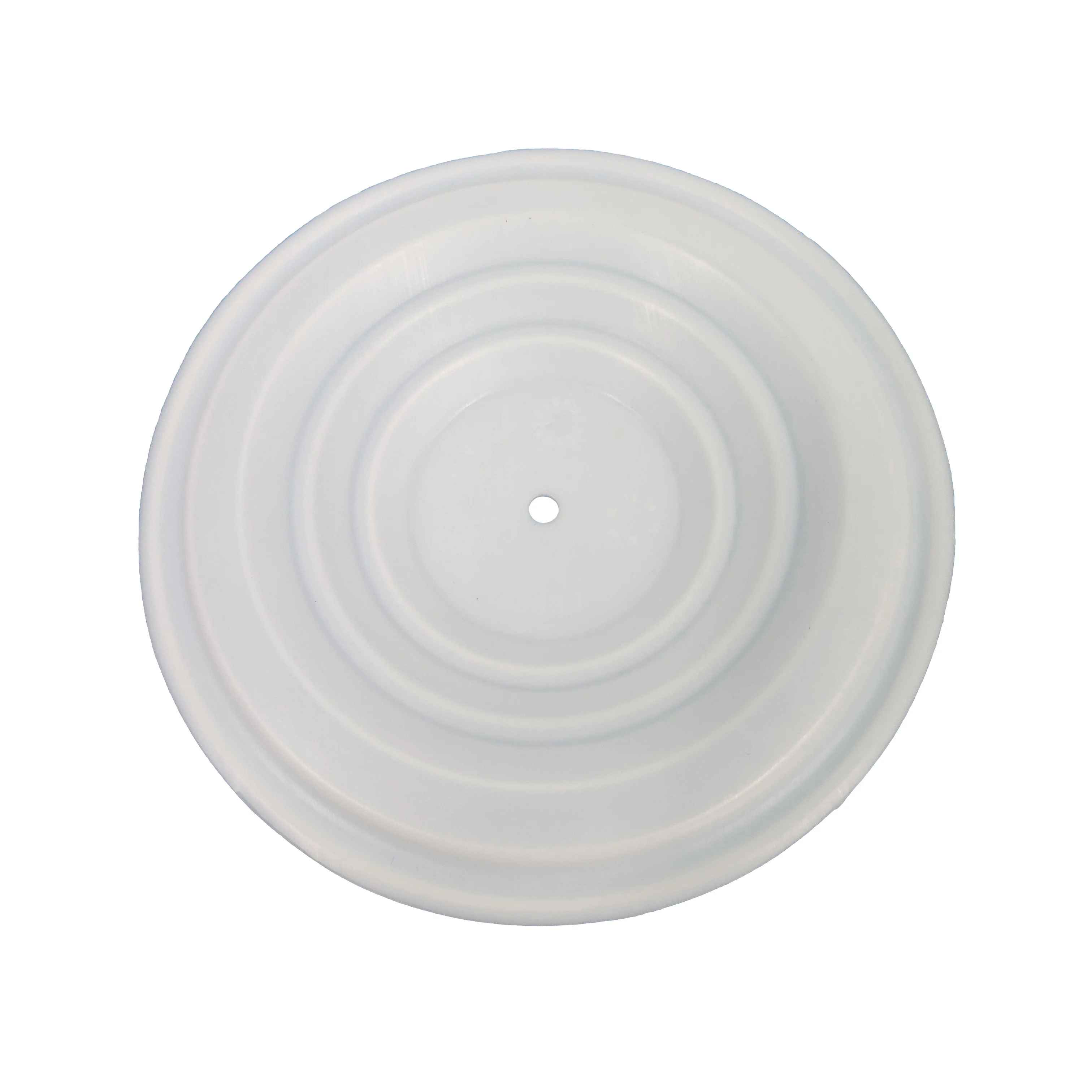 CF108839 Diaphragm