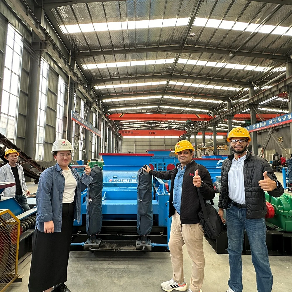 HSM China Factory Price Roller Crusher Discharge Size Adjustable Tooth Roller Crusher for Coal Limestone Gravel