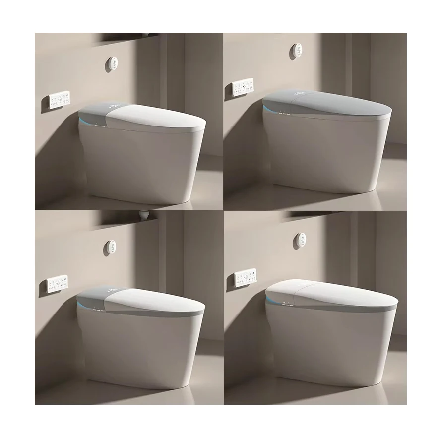 Modern Automatic Sanitary Ware Floor Mounted Auto Flush Electric Toilet ...