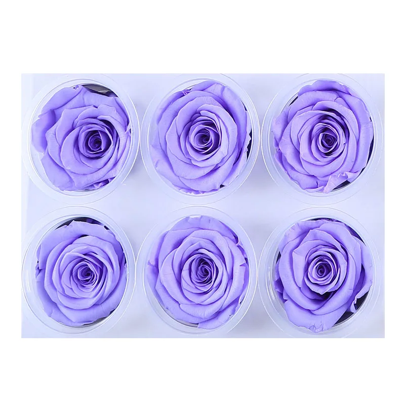 Beautiful Violet Rose Flower Head Preserved Flower Heads For Wedding Decor Long Lasting 5 6cm Eternal Rose Buy Flower Rose Lasting Forever Rose Flowers For Wedding Decoration Product On Alibaba Com