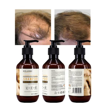 KOLANBIS Anti Loss Shampoo Make Your Brand For Hair Growth Ginger Root Extract