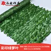 Printed Green Ivy Leaves