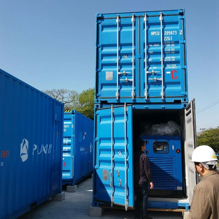 PUXIN 20FT Komplette Bio Gas Anlage Bio Digestor System zu Erhalten Biogas  Strom und Dnger von dung