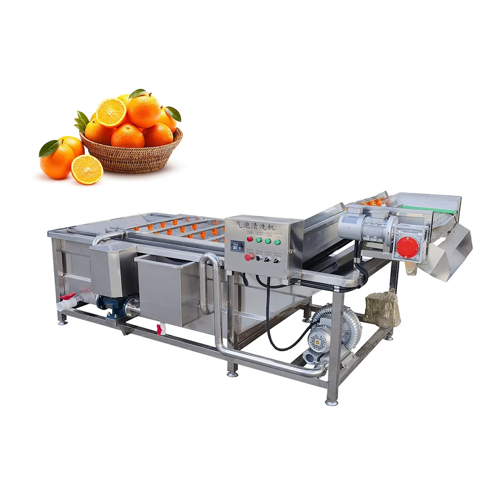Fruits and Vegetables Washing Peeling Machine for Potato Carrot Lotus Stem Beetroot Ginger White Radish