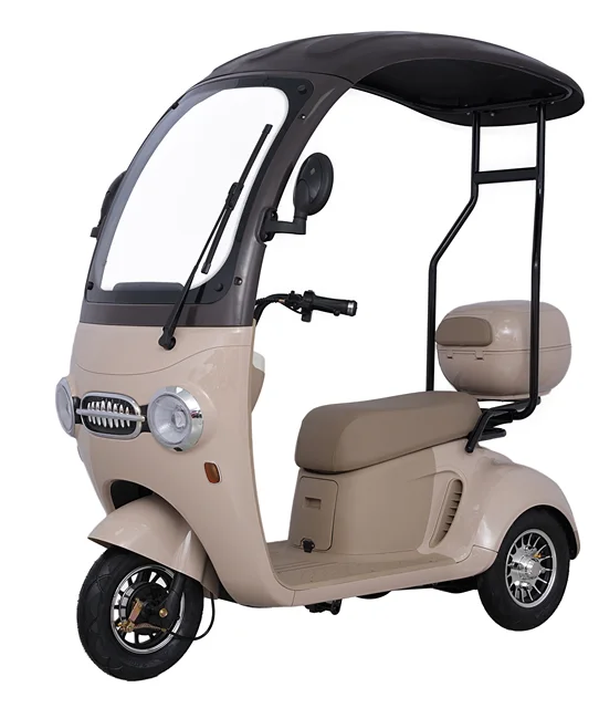 Fashionable Appearance Low Energy Consumption Eco-friendly Electric Tricycle Mini Electric Tricycle