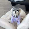 Púrpura