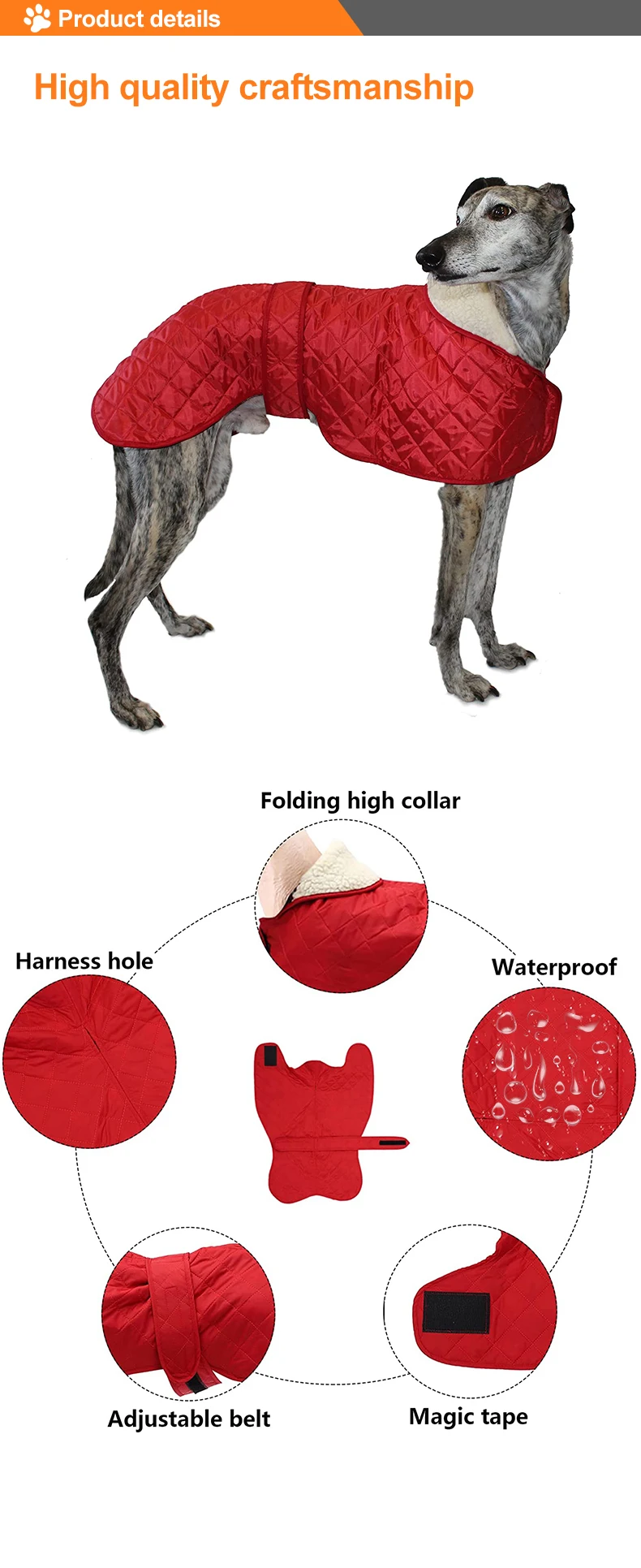 Manufacturer Wholesale Multicolors Coat Whippets Italian Greyhounds