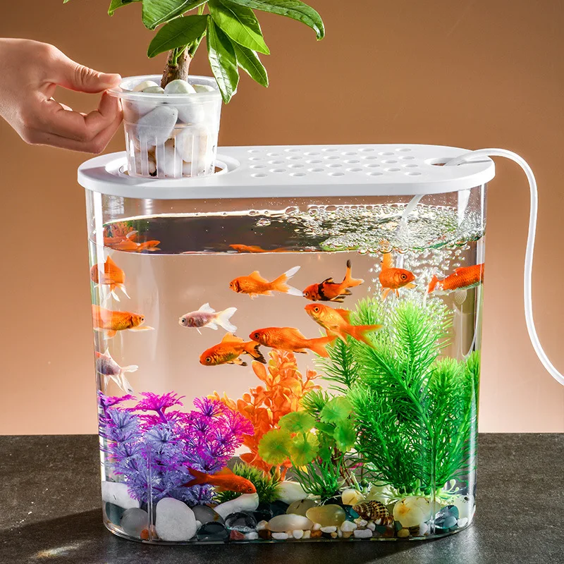 Aquatic Plants Small Cylinder Aquarium Small Goldfish Fish Tank