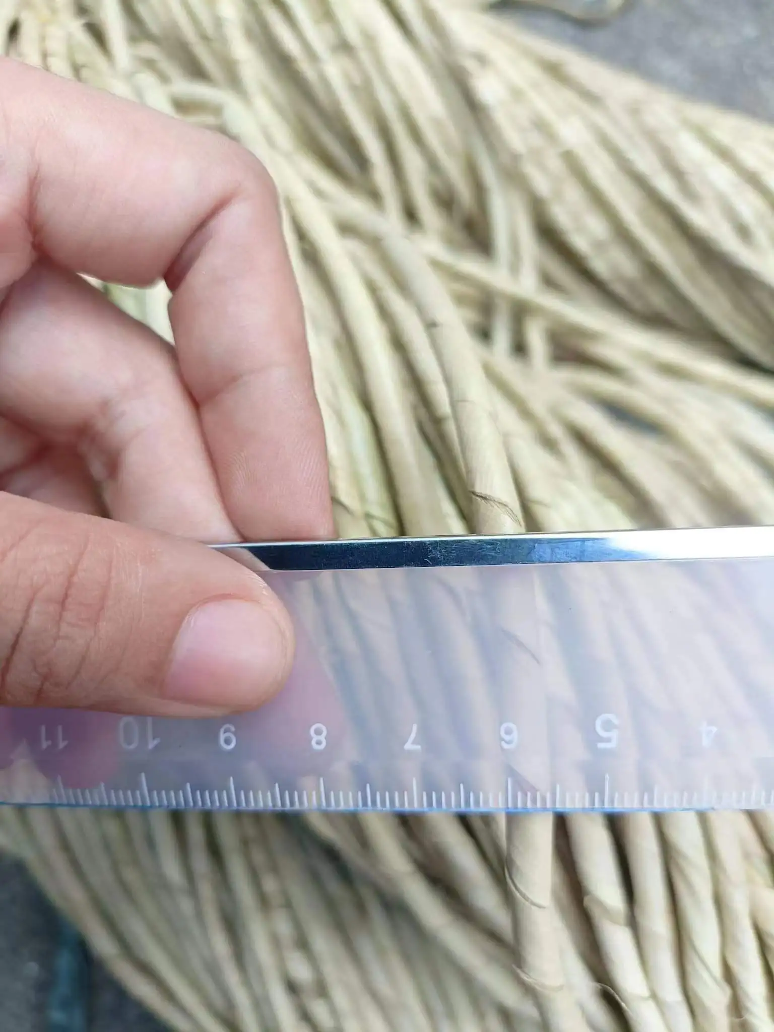 Philippine Raffia Twine Rope Used For Storage Basket Braided Basket