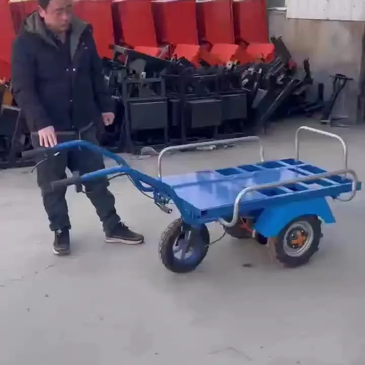 NamibiaHand-held three-wheeled flatbed cart