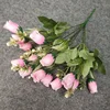 Rose2
