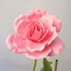 rosa 30 cm