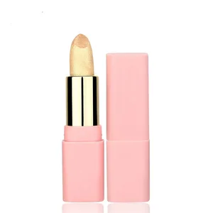Private Label Stick Cosmetics Velvet Matte Cream Waterproof Solid Lipstick