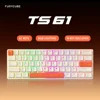 TS61--Beige+Orange--RGB light