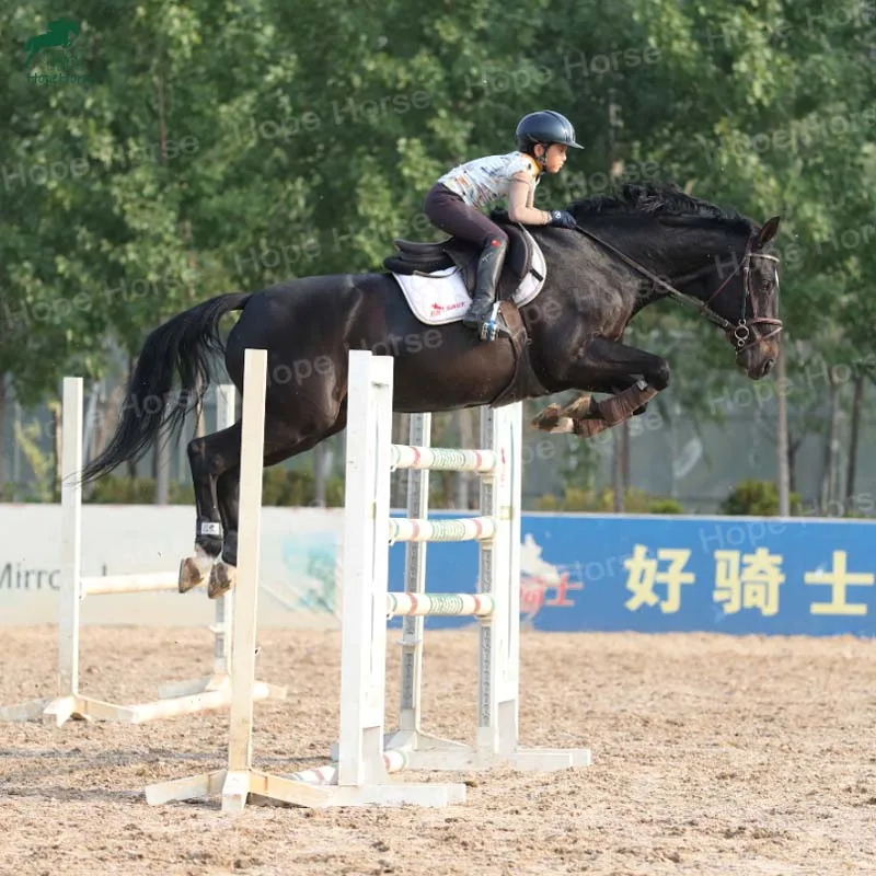 Алюминиевые подставки для прыжков для школьных прыжков