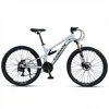 Polvere di cemento 24SP