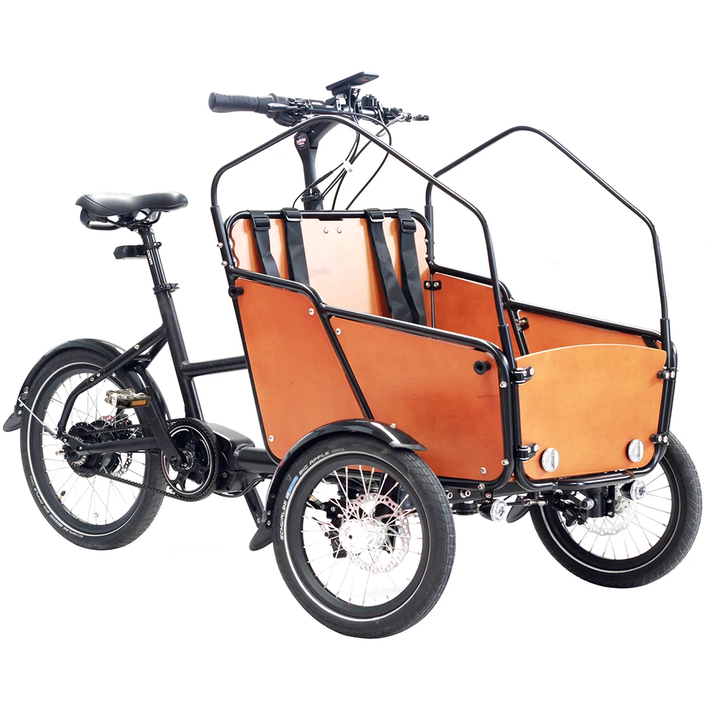 250w Electric Dutch Cargo Bike /3 Wheel Electric Cargo Bicycle For ...