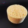 Seaweed Cylinder Shape Sponge