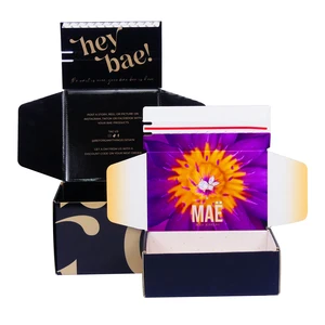 Custom Logo Printed Foldable Corrugated Airplane Boxes  Gift & Retail Packaging for Branded Shipping & Promos