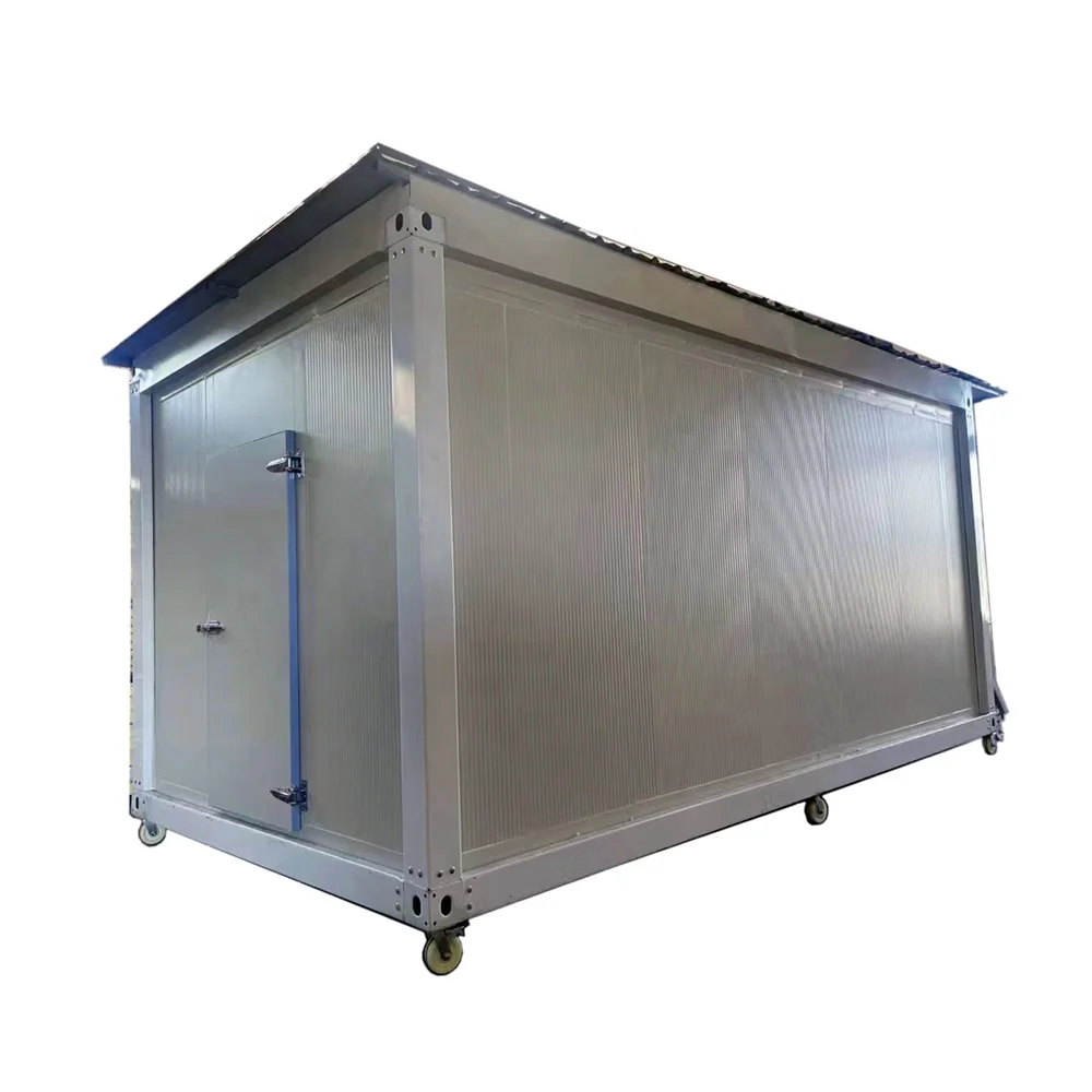 Portable Freezer Container 20ft Cold Storage Room Outside Walking Freezer Container 20ft Cold Storage Room
