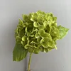 Verde scuro