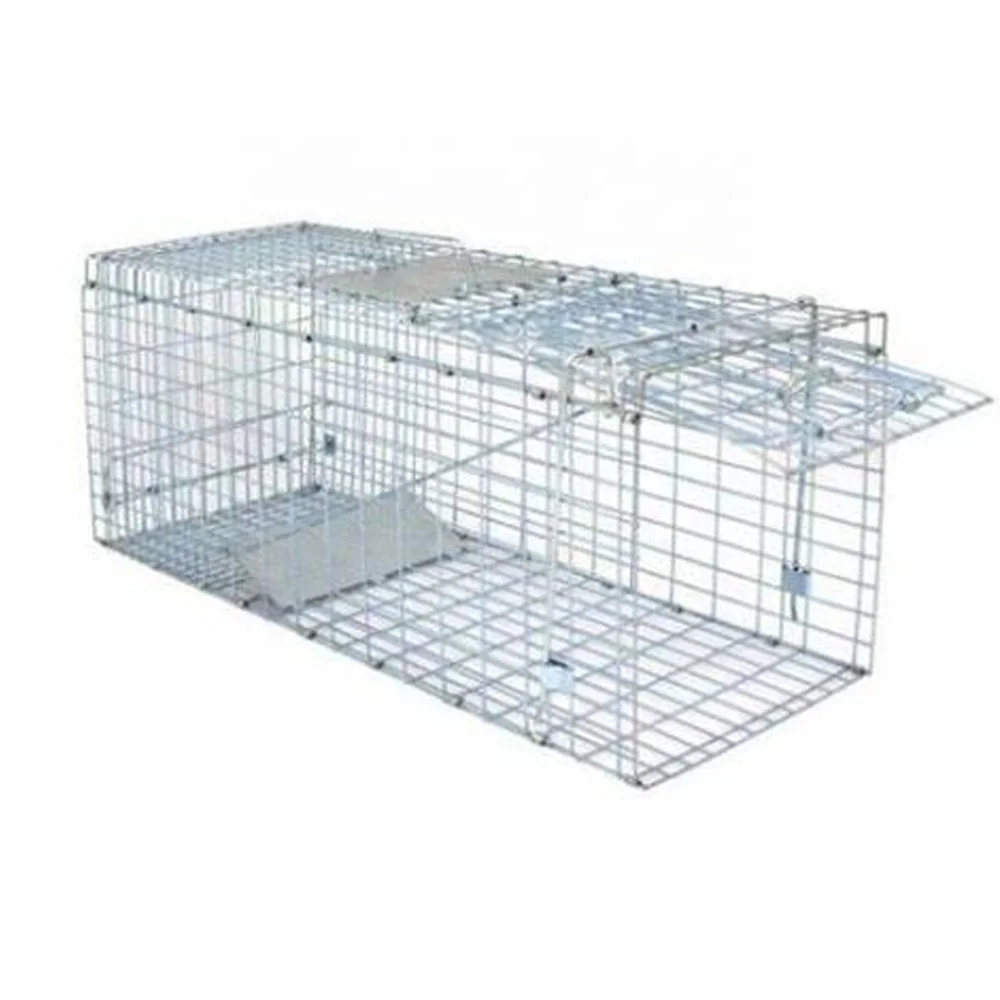 60x18x20cm Galvanized Collapsible Humane Animal Trap Cage for Sales