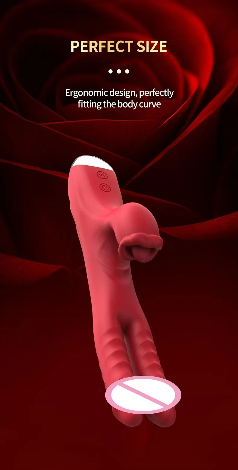 Package contents including vibrator, dock, cable, and carrying case