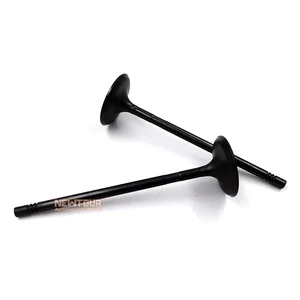 Car Parts Car Accessories Other Engine Parts Intake Exhaust Valves for MAXUS G10