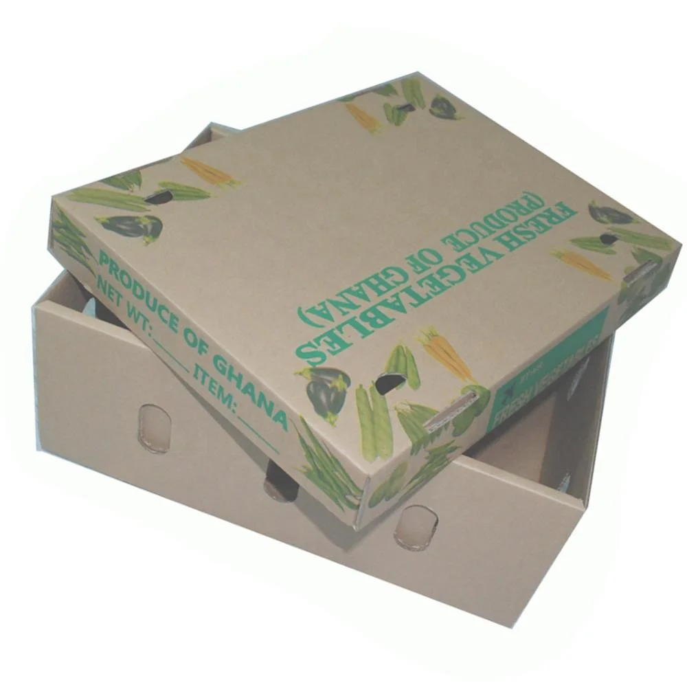 Mangos Fruit Cardboard Carton Box Strong Durable Fresh Fruit Transport Mango Corrugated Packaging with Handle