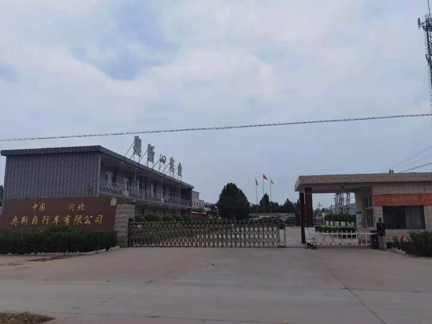 Shanghai Xinyang Import And Export Co., Ltd. 1
